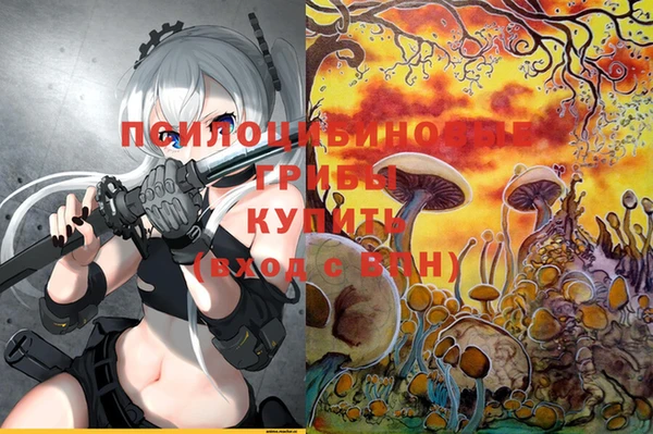 не бодяженный Переславль-Залесский