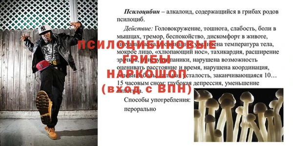 экстази Пересвет