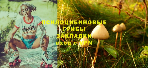 не бодяженный Переславль-Залесский
